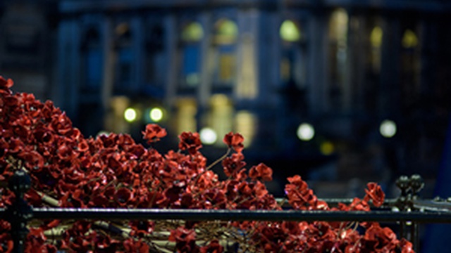 Weeping Window poppies sculpture installed in Liverpool